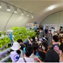 자연으로 이미지