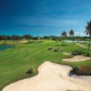 넥서스 골프연습장 이미지