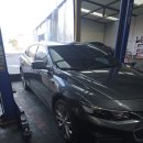 월드카닥터하우스 이미지