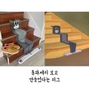 올해들어서 본 러그 중 가장 탐나는 러그(rug). 이미지