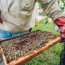 수정 태양광발전소 이미지