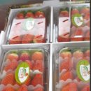 동헌농장 이미지