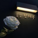 신세계꽃집