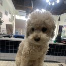 우리함개 이미지