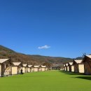 말랑카우하우스 | 청도 린하우스 글램핑장 가격 주차 캠핑 캠프파이어 정보 총정리 내돈내산