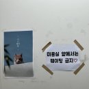 좌두철한의원 이미지