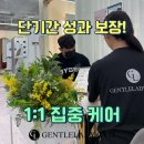 젠틀레이디