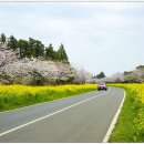 회진한의원 이미지