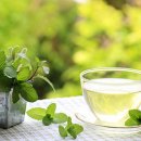 혁신원광한의원 이미지