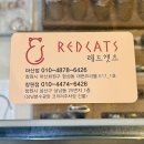 레드캣츠 | 창원 피어싱 전문 귀 뚫는 곳 레드캣츠