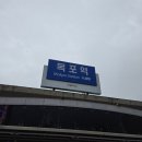 베이커리 • 더좋은집 • 목포자연사박물관 • 목포생활도자박물관 • 국립해양연구소 • 연희네 포차