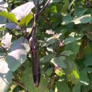 가온누리 농장 이미지