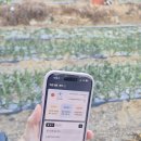 정부농장 | 마이파머스 AI 농사어플 주말농장 텃밭 작물 가꾸기