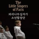 파리나무십자가 소년합창단 이미지