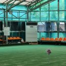 용인실내게이트볼장 이미지