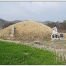 실화(實話) 이야기 [ 말(馬)무덤] 이미지
