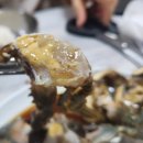 (사강맛집)맛찌개가 맛있는 "깜빡이횟집" 방문 중식 후기