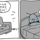 토주