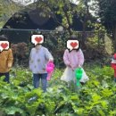 삼동어린이집 이미지