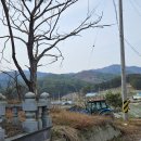 서삼면사무소 이미지