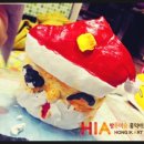 홍익현대미술교습소