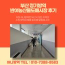 반여시장 | 부산 정기방역 반여농산물도매시장 작업 후기