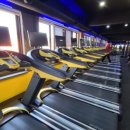 아레나 피트니스 이미지