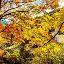 남도예담 이미지