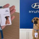 현대자동차 앞 이미지