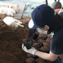 일만농장 이미지