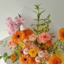 온화앤유 이미지