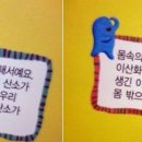 털보허파