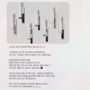 화사한속눈썹