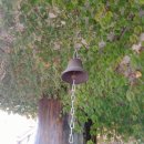 금산인삼관 이미지