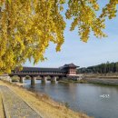 고운님오시는길 | 경주 고운님오시는길 전통 찻집 :: 교촌한옥마을 월정교 카페