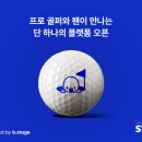위골프 서울경제