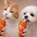 웰케어메디 이미지