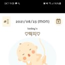 딱지