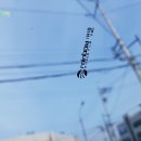신Car멀티샵 이미지