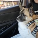 토리프로젝트 이미지