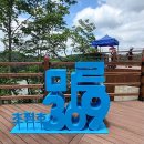 초롱길 이미지