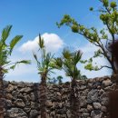 광이멀스테이풀빌라글램핑 이미지