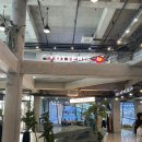 트릭아트뮤지엄 | 여수 아이랑가볼만한곳 : 예술랜드 트릭아트 뮤지엄 방문 후기 !