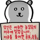 대한당 | MMA2025