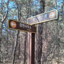 겸면사무소 이미지