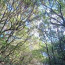 은희태양에너지 | 한라산 둘레길 완보 여름휴가