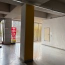 쭈 애견미용 | [위례 애견미용] '위례 딤플' 애견미용 내돈내산 솔직후기🐶