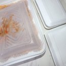 대구뽈찜무진장왕뽈때기 이미지