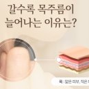 비앤씨피부과의원 이미지