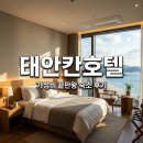태안칸 | 태안칸호텔 내돈내산 후기, 솔라고cc 근처 깔끔한 가성비 숙소 추천